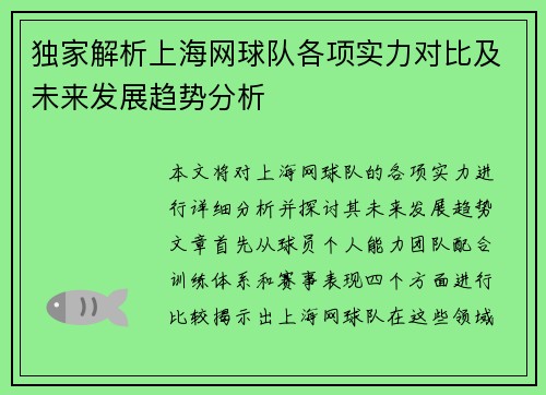 独家解析上海网球队各项实力对比及未来发展趋势分析
