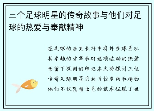 三个足球明星的传奇故事与他们对足球的热爱与奉献精神