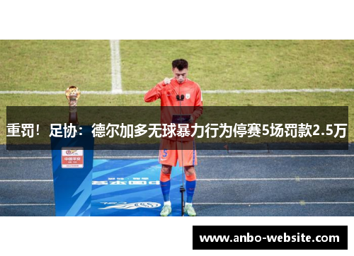 重罚！足协：德尔加多无球暴力行为停赛5场罚款2.5万